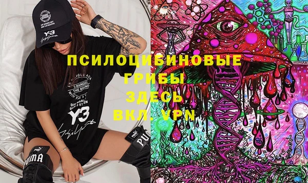 ГАЛЛЮЦИНОГЕННЫЕ ГРИБЫ Михайловка