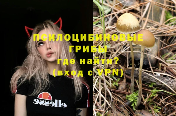 гидропоника Михайловск